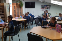 Berni-biblioteka-zime
