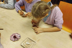 WhatsApp-Image-2025-11-09-at-20_45_40-2