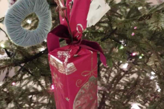 WhatsApp-Image-2025-12-16-at-17_04_53