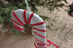 WhatsApp-Image-2025-12-16-at-17_04_54