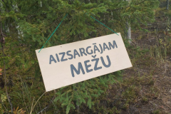 Zīme ar uzrakstu "Apsargājam mežu" pakārta uz egles