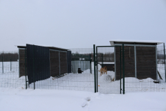 IMG_8690-Half-Camera