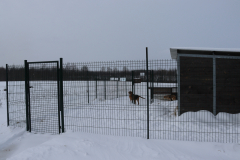 IMG_8691-Half-Camera