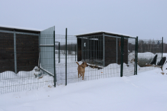 IMG_8692-Half-Camera