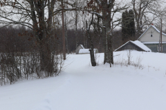 IMG_8693-Half-Camera