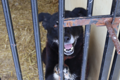 IMG_8697-Half-Camera