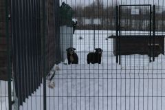 IMG_8701-Half-Camera