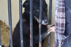 IMG_8712-Half-Camera