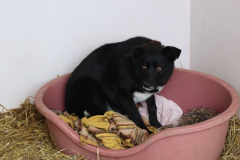 IMG_8715-Half-Camera