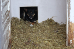 IMG_8716-Half-Camera