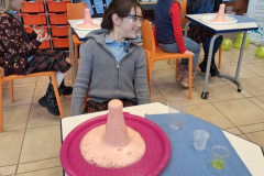 WhatsApp-Image-2026-02-20-at-07.33.58