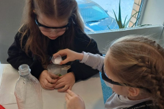 WhatsApp-Image-2026-02-20-at-07.35.16-3