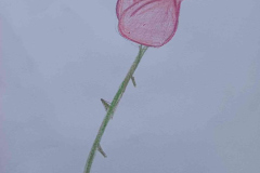 WhatsApp-Image-2026-02-16-at-19_05_32