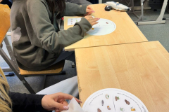 WhatsApp-Image-2026-02-24-at-11.13.27-1