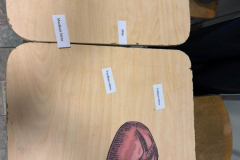 WhatsApp-Image-2026-03-25-at-16.09.49-6