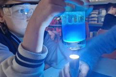 WhatsApp-Image-2025-12-28-at-11.34.00-3