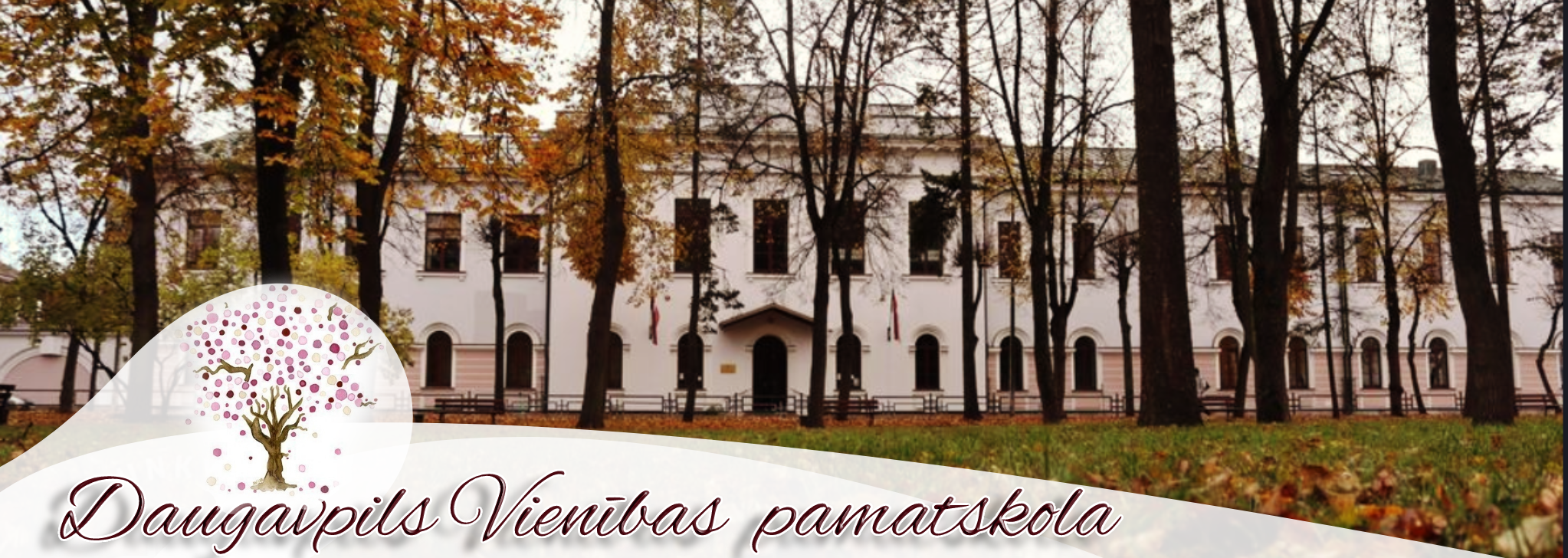 Dvpsk_top_banner